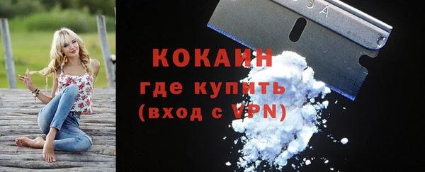 амф Верея