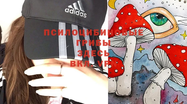 амф Верея