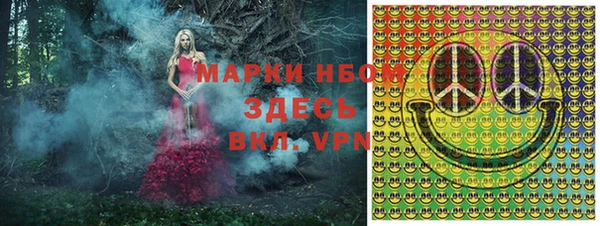 амф Верея