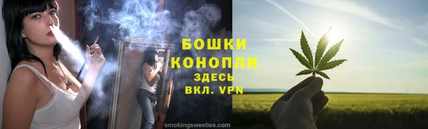 шишки Верхний Тагил