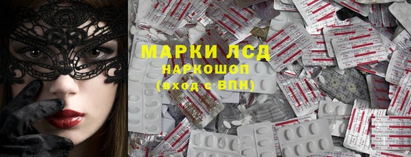 шишки Верхний Тагил