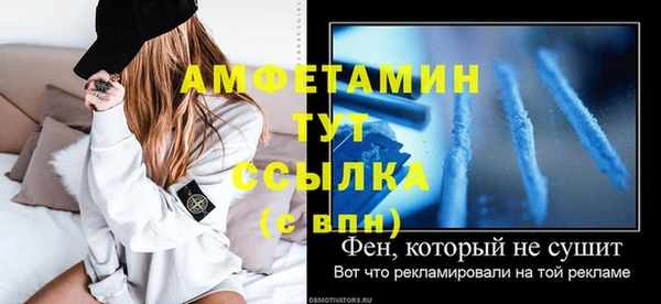 амф Верея