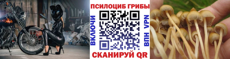 Галлюциногенные грибы GOLDEN TEACHER закладка Воскресенск